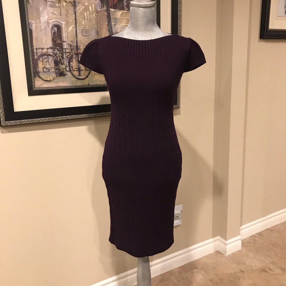 NWT RL Sweater Dress